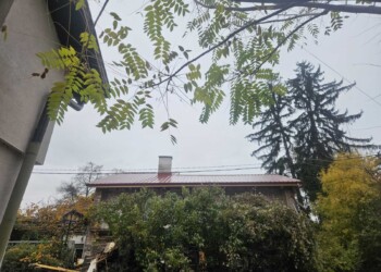 Професионално изпълнен покрив с гаранция. Нов покрив с термопанели от Roof-Stroy София